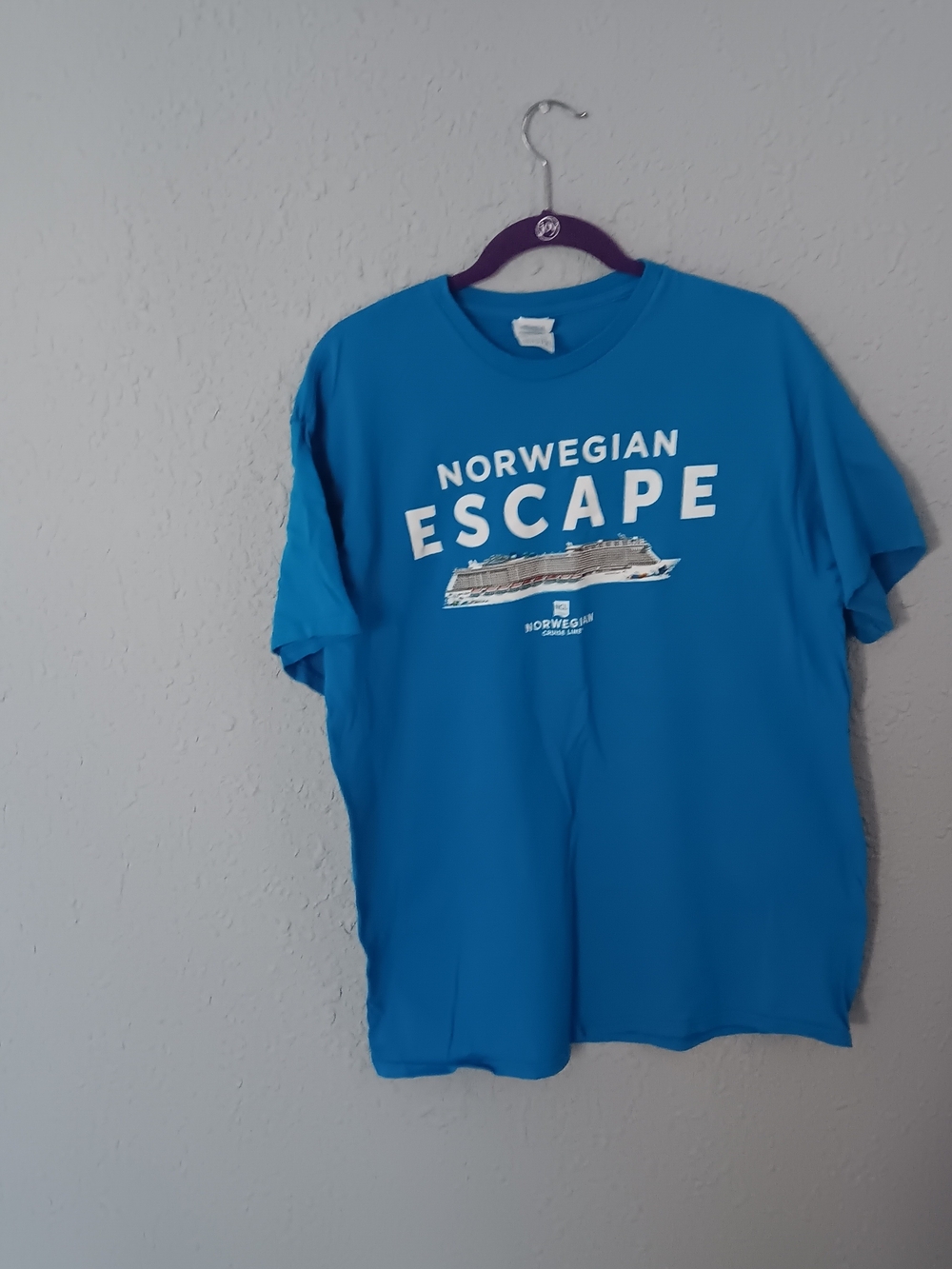 Delta Pro Weight Crewneck Tee - Bright Blue